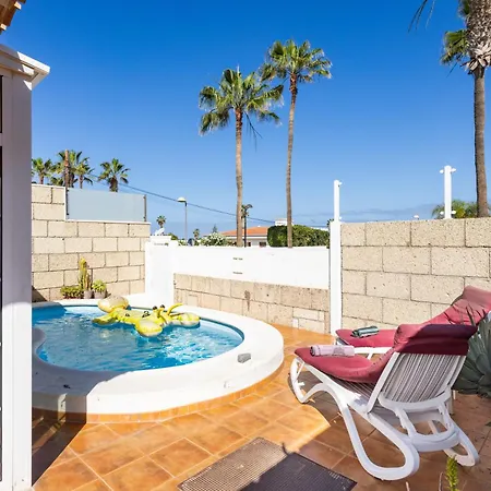 Carolina * פאלם-מאר