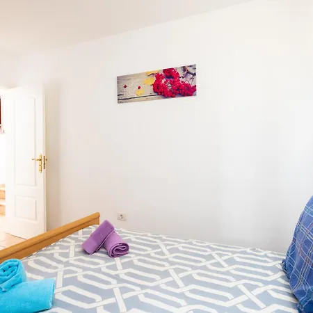 Carolina פאלם-מאר