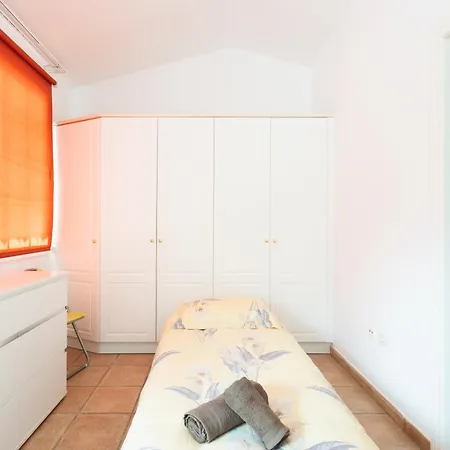 Carolina * פאלם-מאר